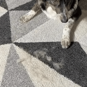 Pet Grooming Gloves